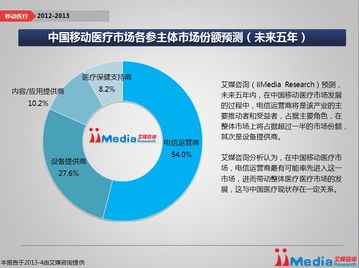 iiMedia Research 2012 2013年中国移动医疗市场年度报告
